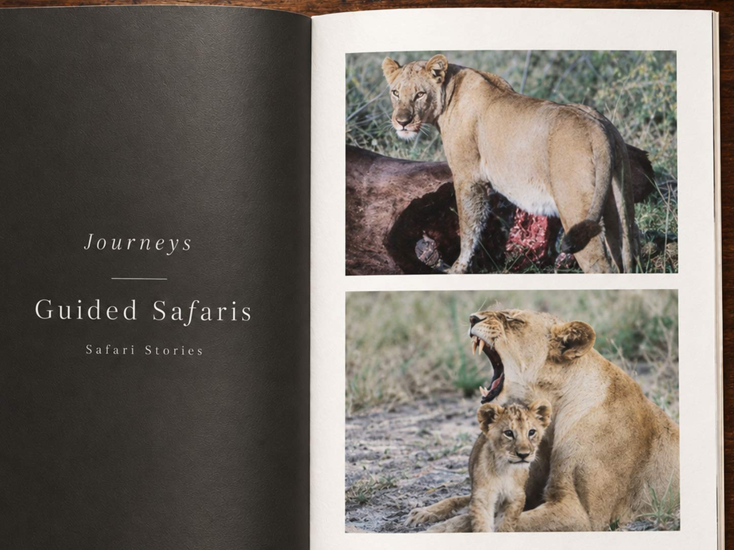 The Guided Safaris® Safari Stories journal, The Sarcastic Lens — the third boîte